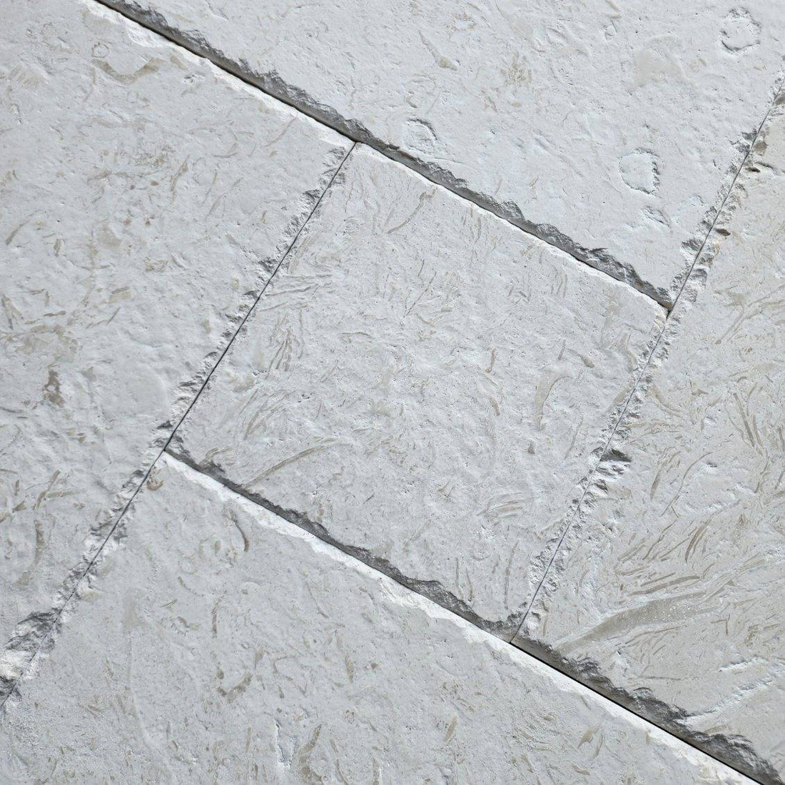 SYMRA SHELL BEACH LIMESTONE TILE