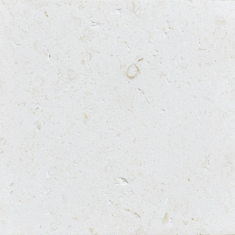 Symra (Shell Beach) Limestone Tile 24" X 24" 1/2 Brushed Tile