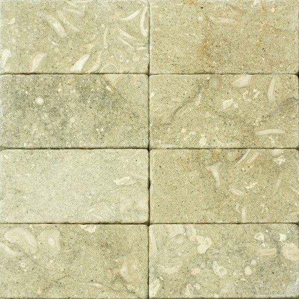 Azulejo de piedra caliza de algas marinas, pulido, de 3" x 6" y 3/8"