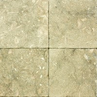 Azulejo de piedra caliza de algas marinas, pulido, de 6" x 6", 3/8"
