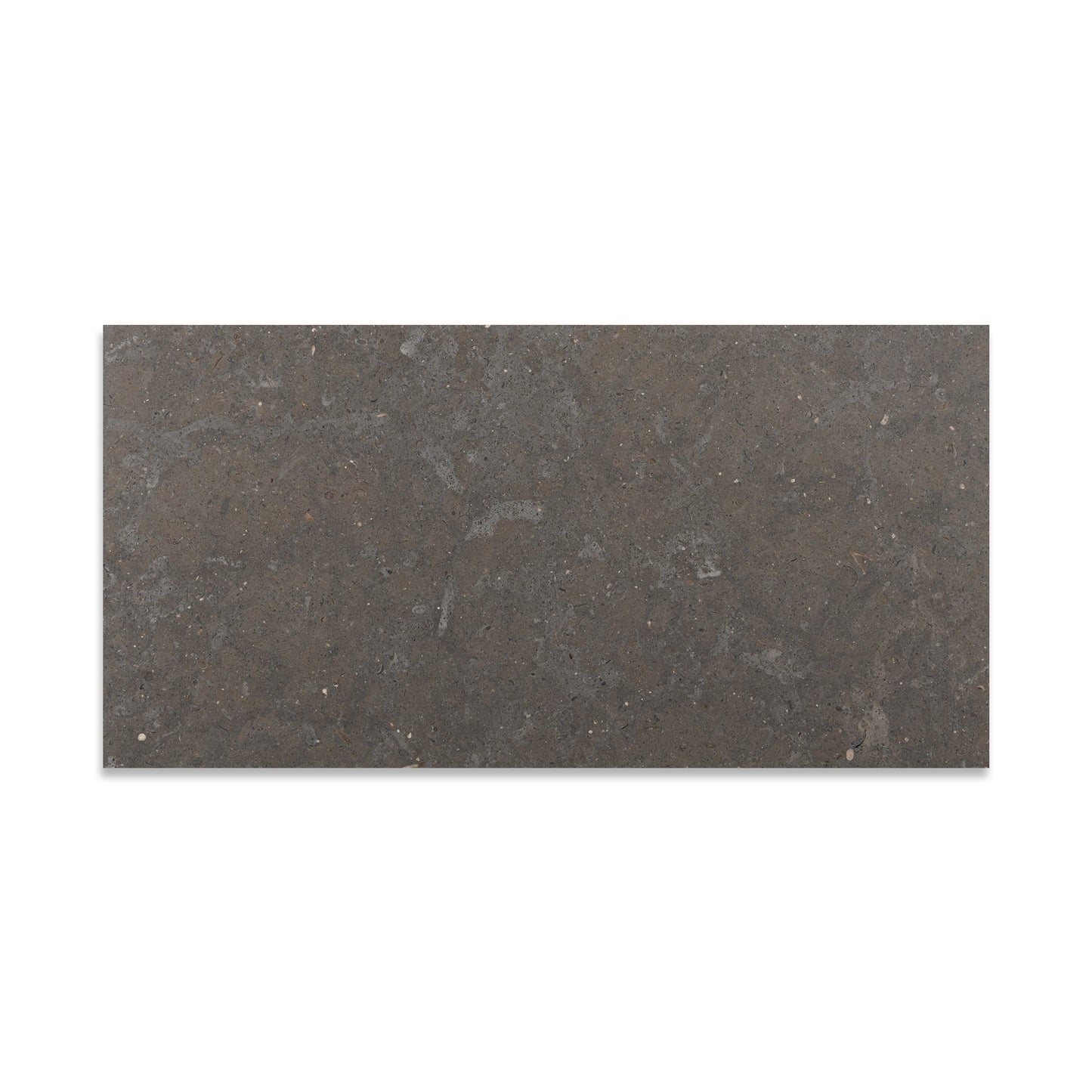 Lagos Blue Limestone Tile Honed 18" x 36" 1/2" Tile