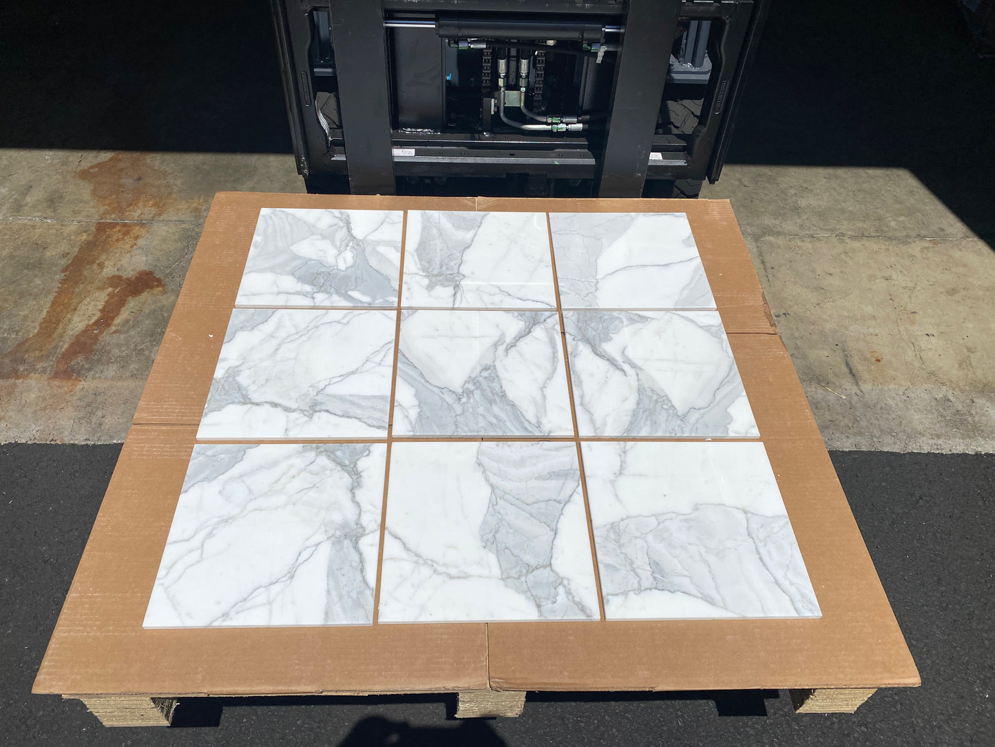 Statuario White (Lot #096) 12" x 12" Floor Tile Polished - 598 SF