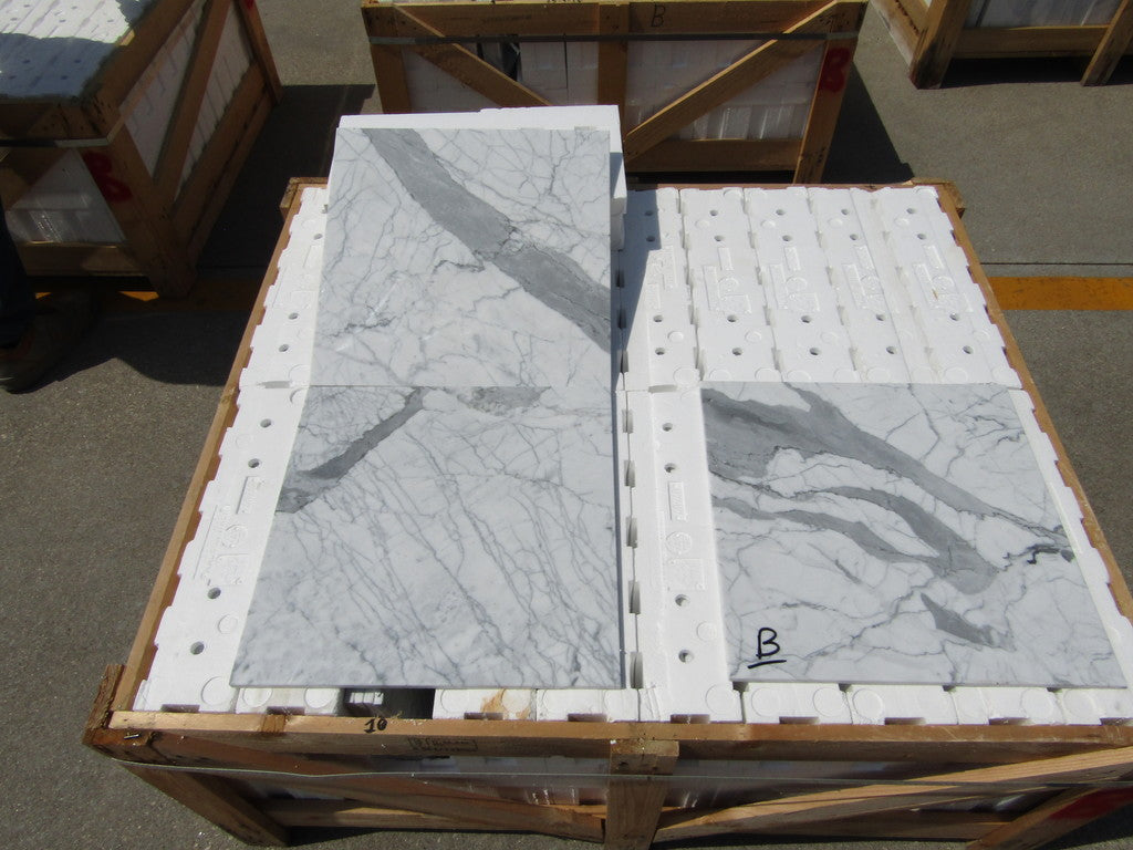 Statuarietto (Lot #322) 16" x 16" Floor Tile Polished - 654 SF