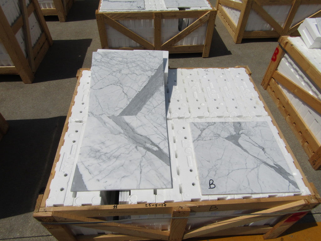 Statuarietto (Lot #322) 16" x 16" Floor Tile Polished - 654 SF
