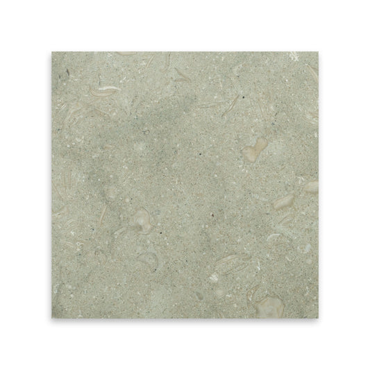 Seagrass Limestone Tile Honed 12" x 12" 3/8" Tile