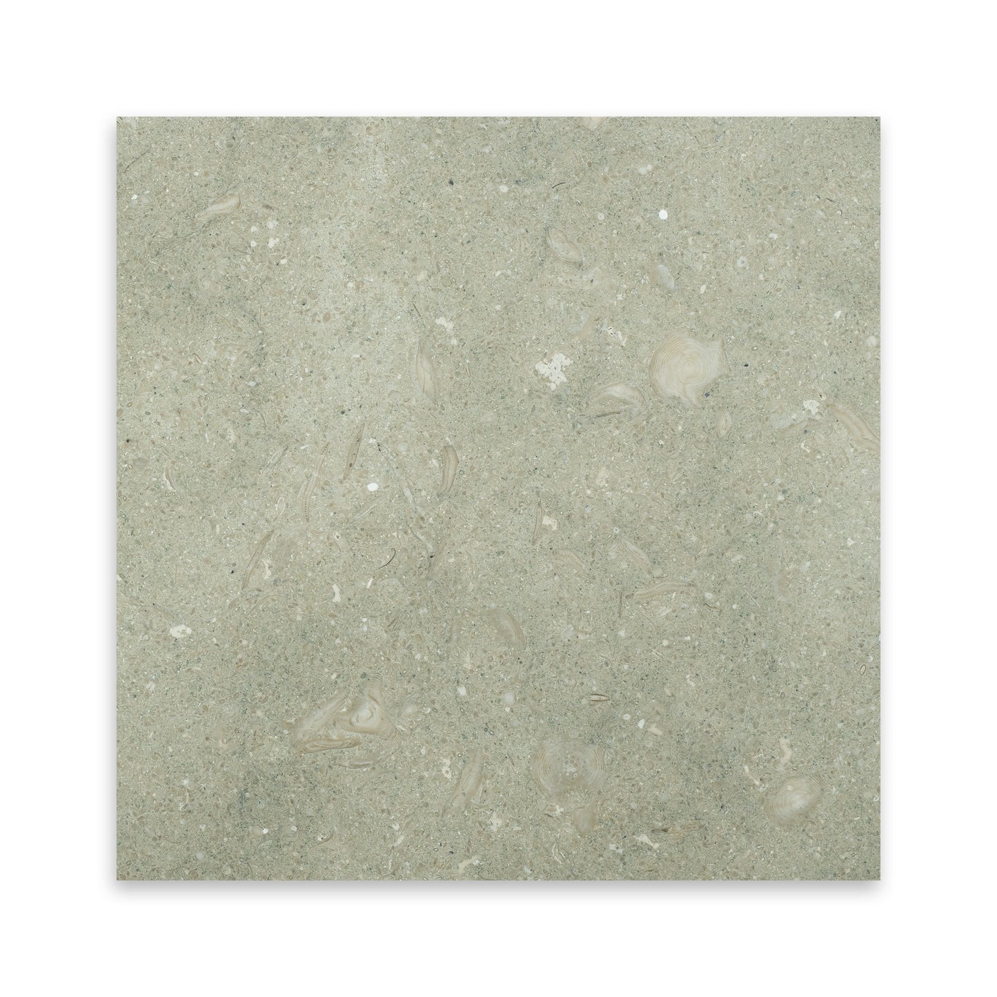 Seagrass Limestone Tile Honed 18" x 18" 1/2" Tile (Micro-beveled)