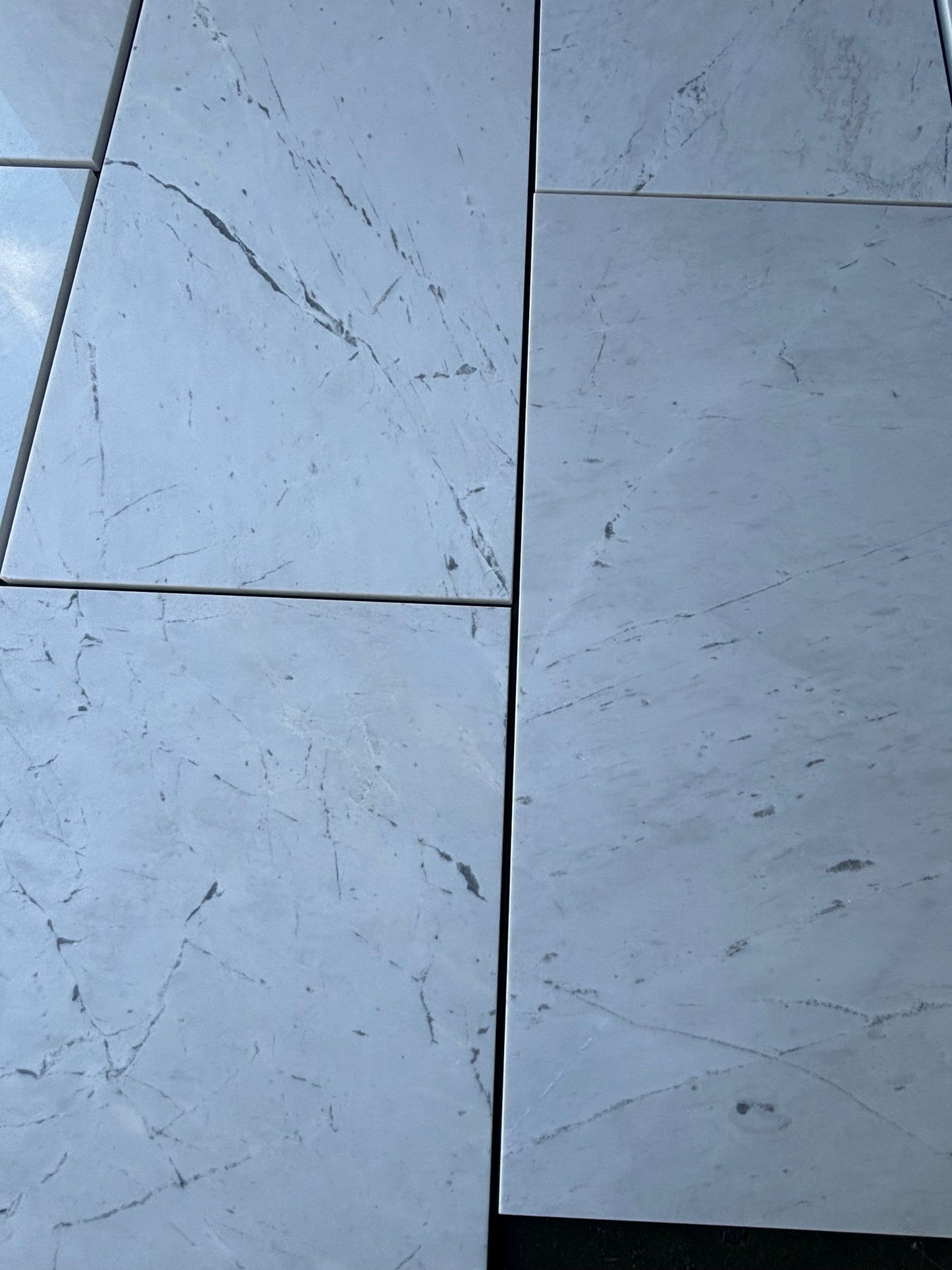 Valentino White Marble Tile Honed 12" x 24" 3/8" Tile