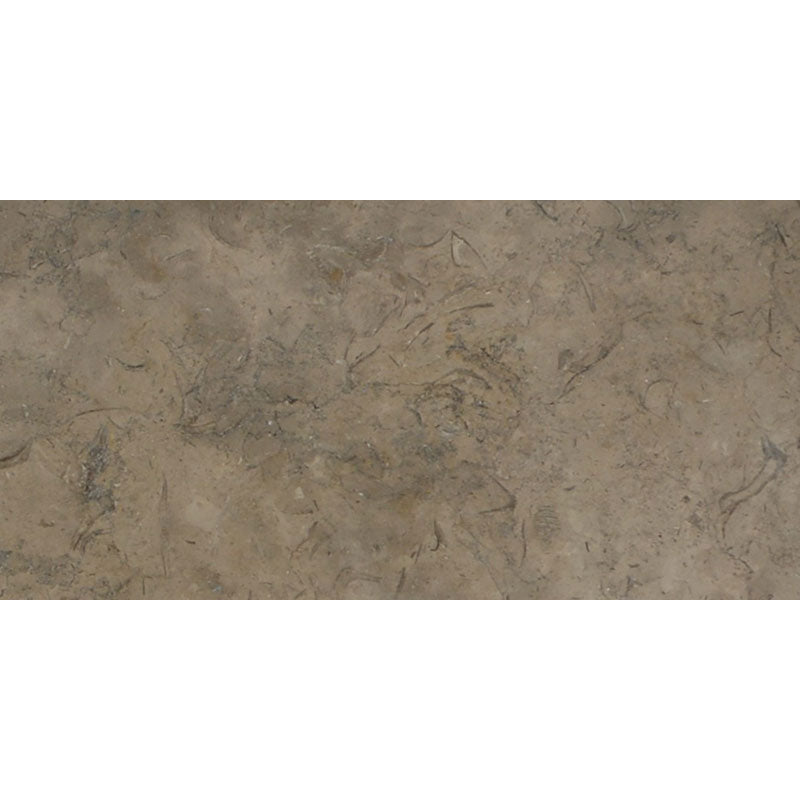 Fossil Brown Limestone Tile 16" X 24" 3/8 Polished Tile