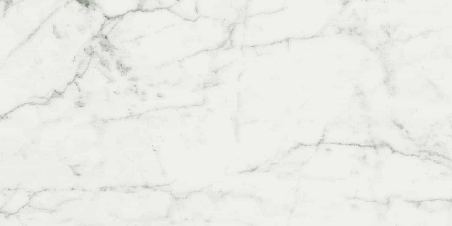 Carrara Cerim Marble Look Honed Porcelain Tile - 12" x 24"