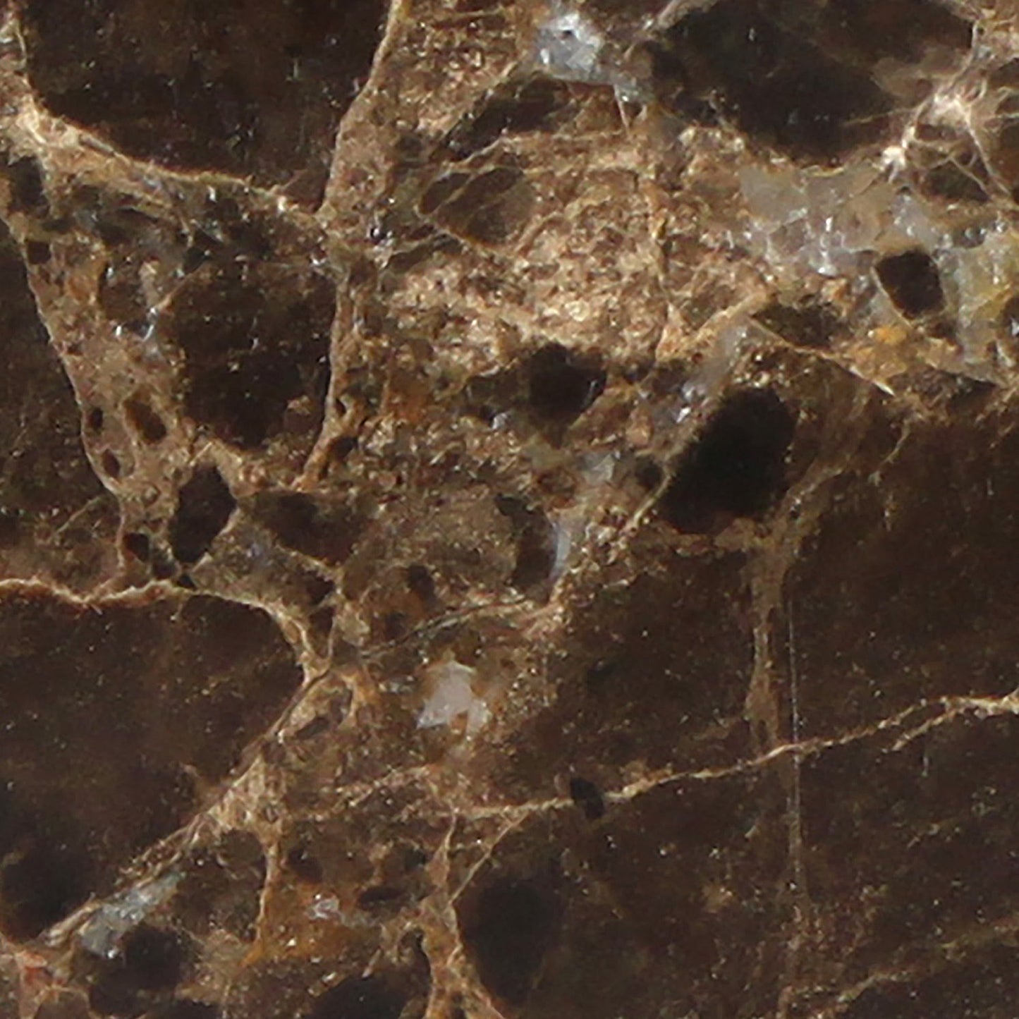 Azulejo para pared y suelo Emperador Dark pulido de 45,7 x 45,7 cm