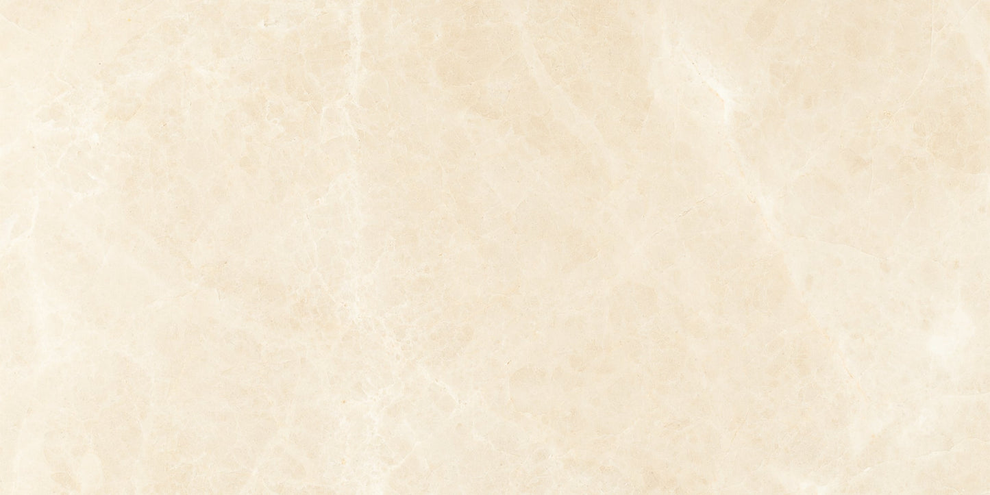 Noble White Cream Polished Wall and Floor Tile 18x36"