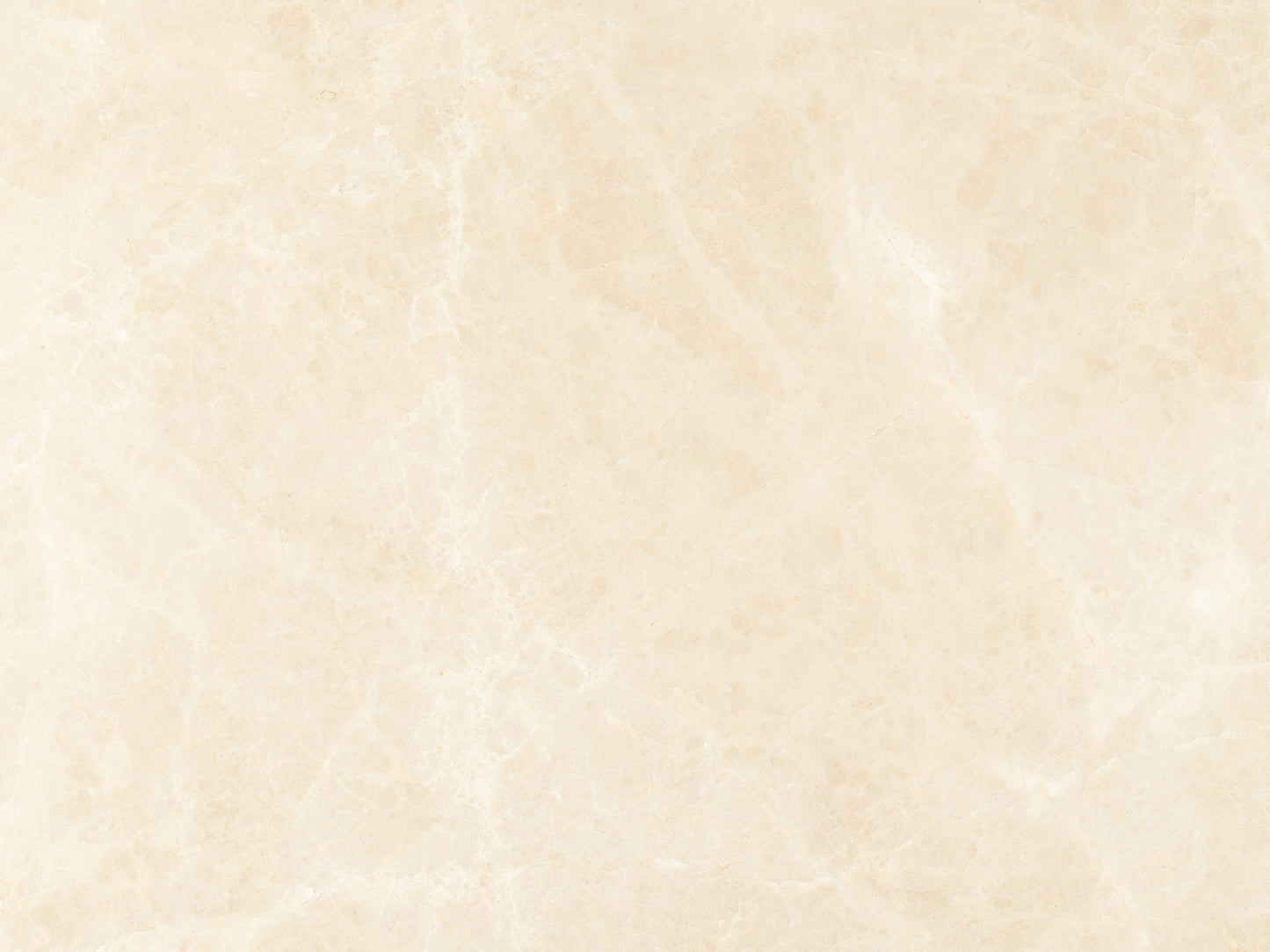 Noble White Cream Wall and Floor Tile 36×48"