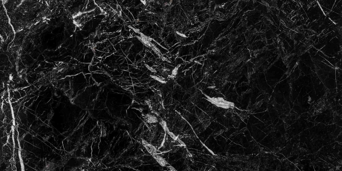 Nero Marquina Polished Wall and Floor Tile 12x24"