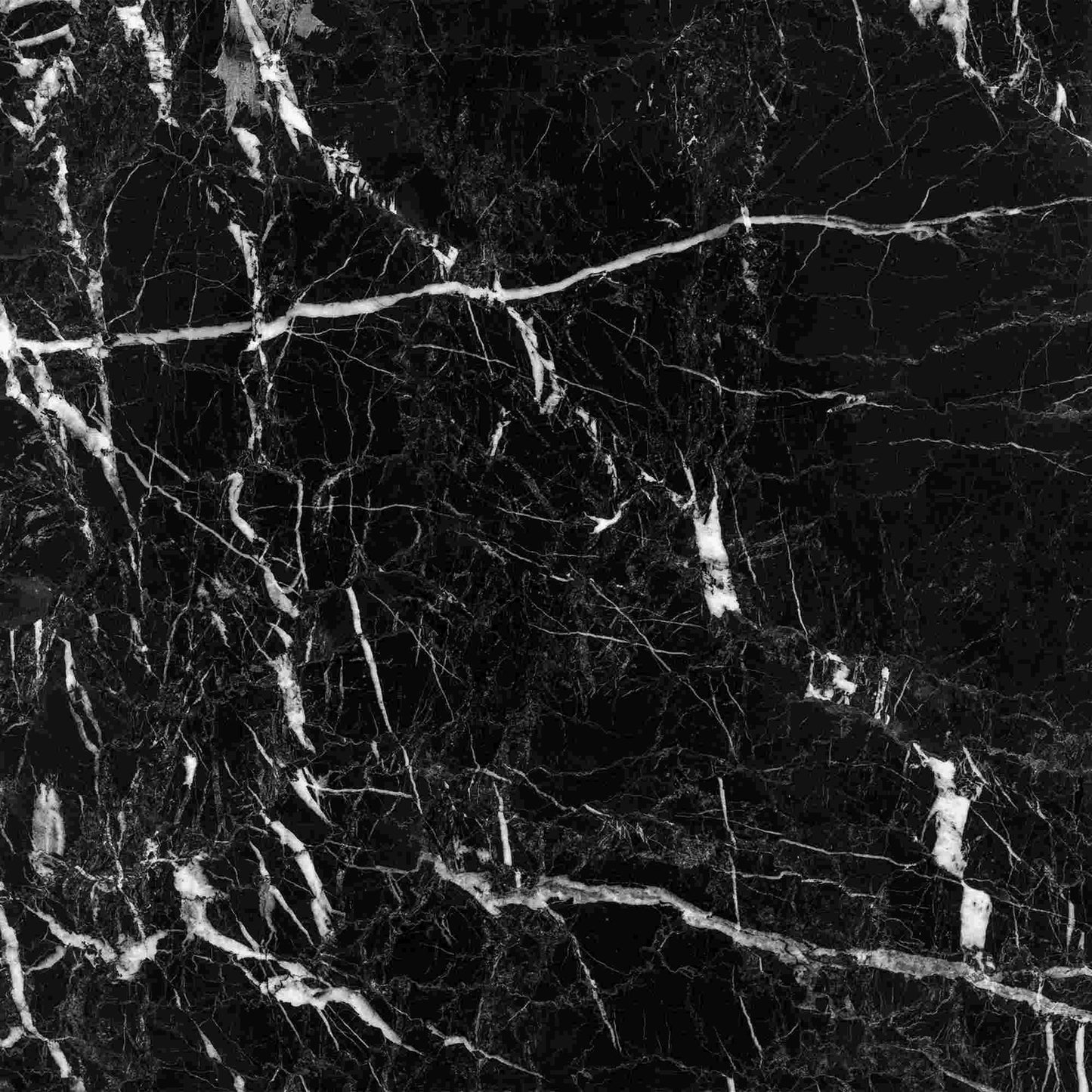 Nero Marquina Polished Wall and Floor Tile 18"x18"