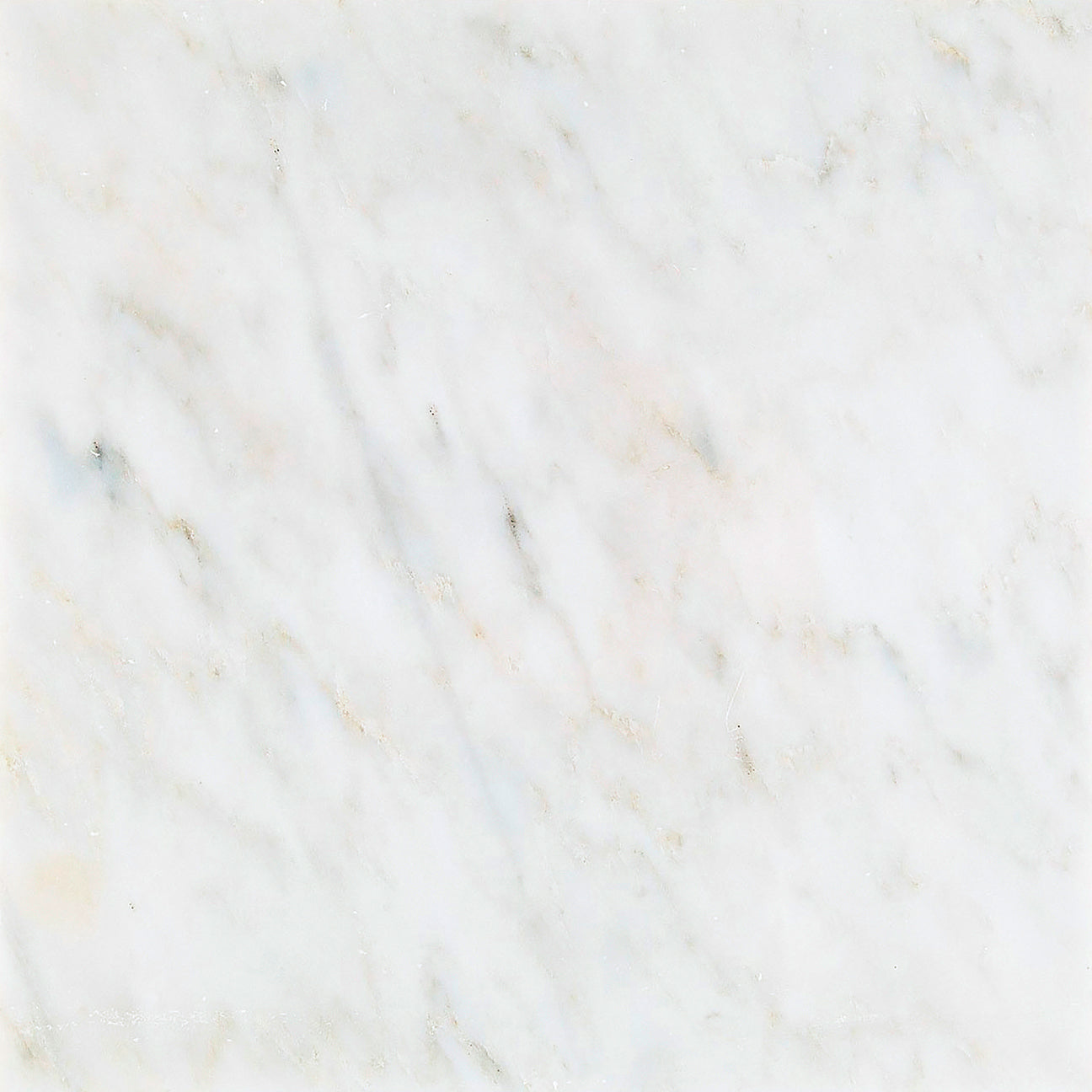Oriental White Wall and Floor Tile 18x18"