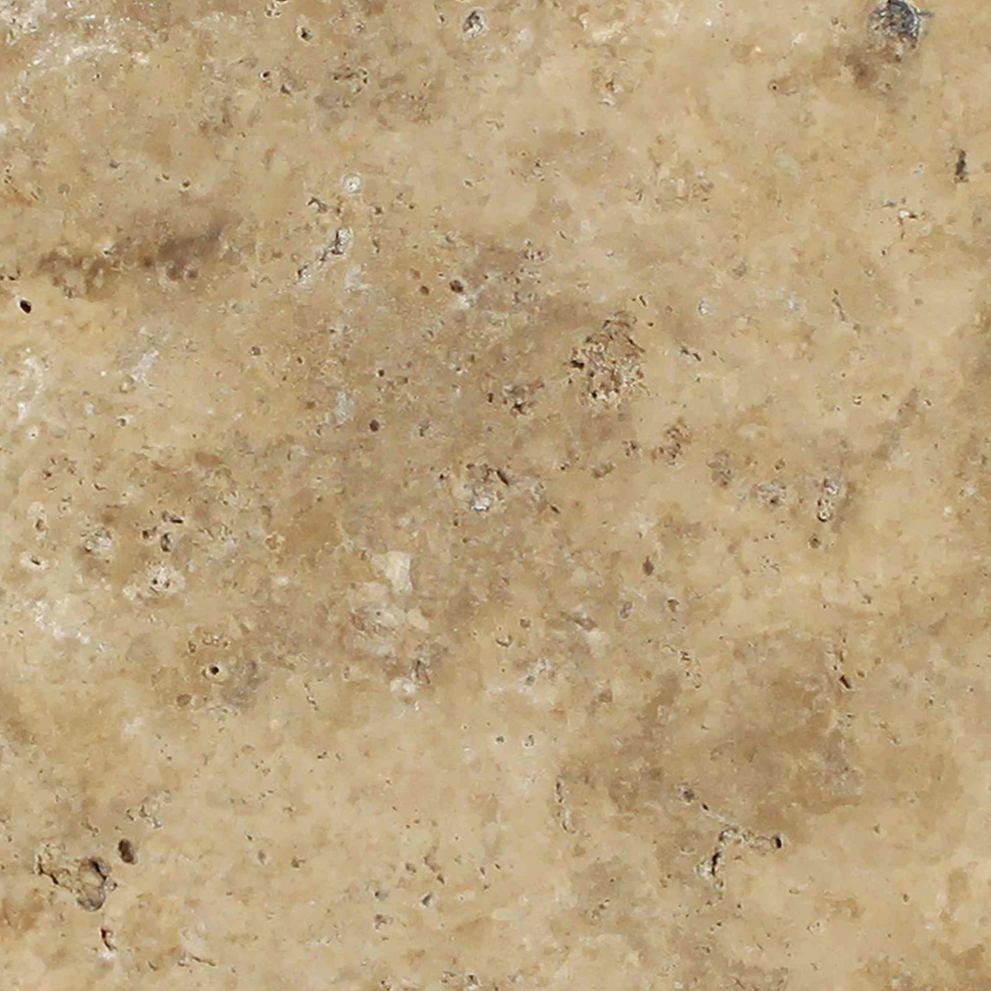 Philadelphia Travertine Filled & Honed Wall and Floor Tile 18x18"