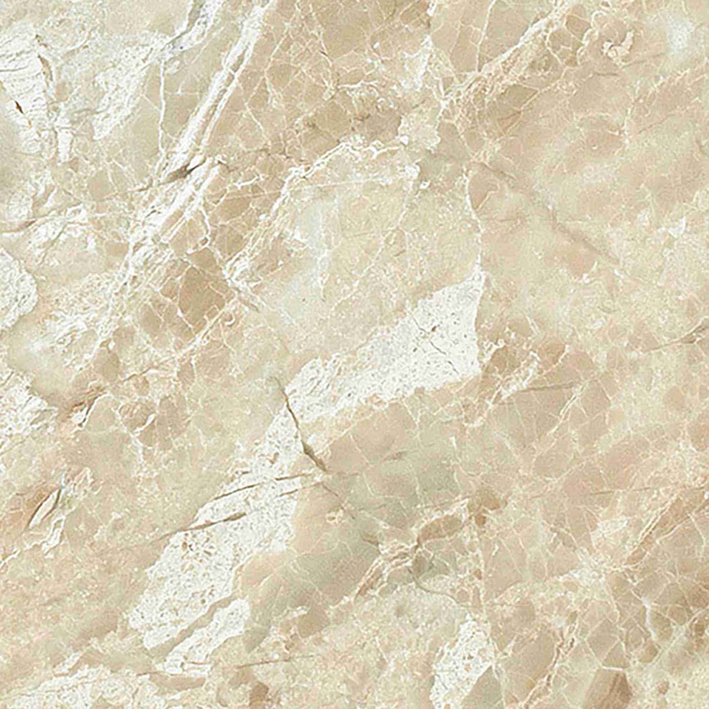 Queen Beige Wall and Floor Tile 12x12"