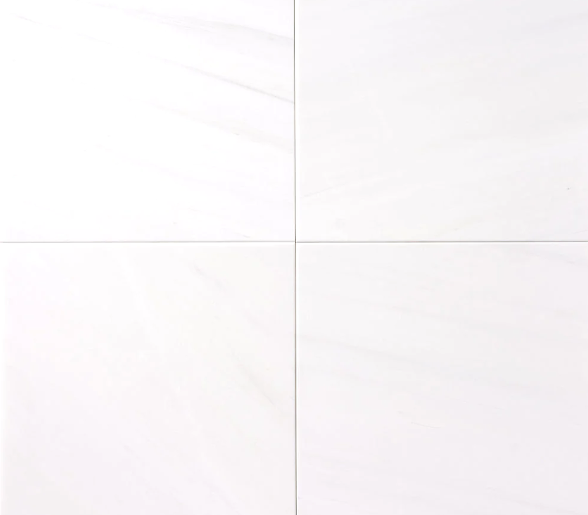 Bianco Dolomite Wall and Floor Tile 24"X24"