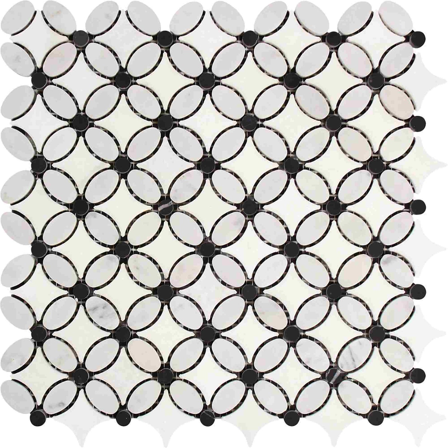 Flor blanca de Florida de Thassos con mosaico negro