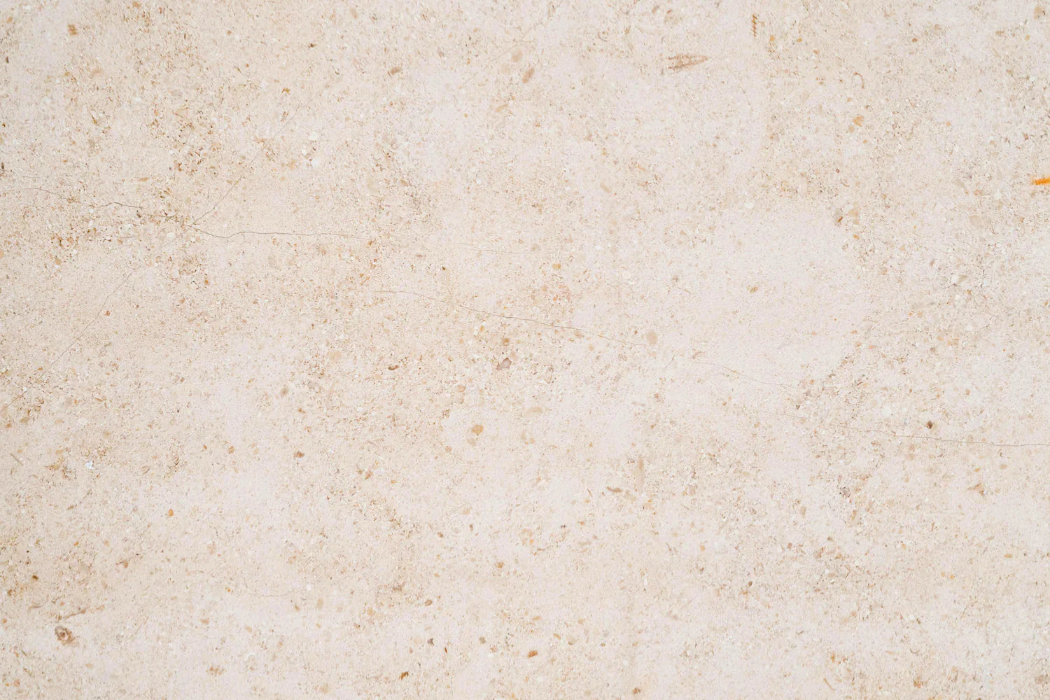 Gascogne Beige Limestone Tile 12" X 12" 3/8 Honed Tile
