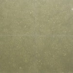Seagrass Limestone Tile Honed 24" x 24" 1/2" Tile