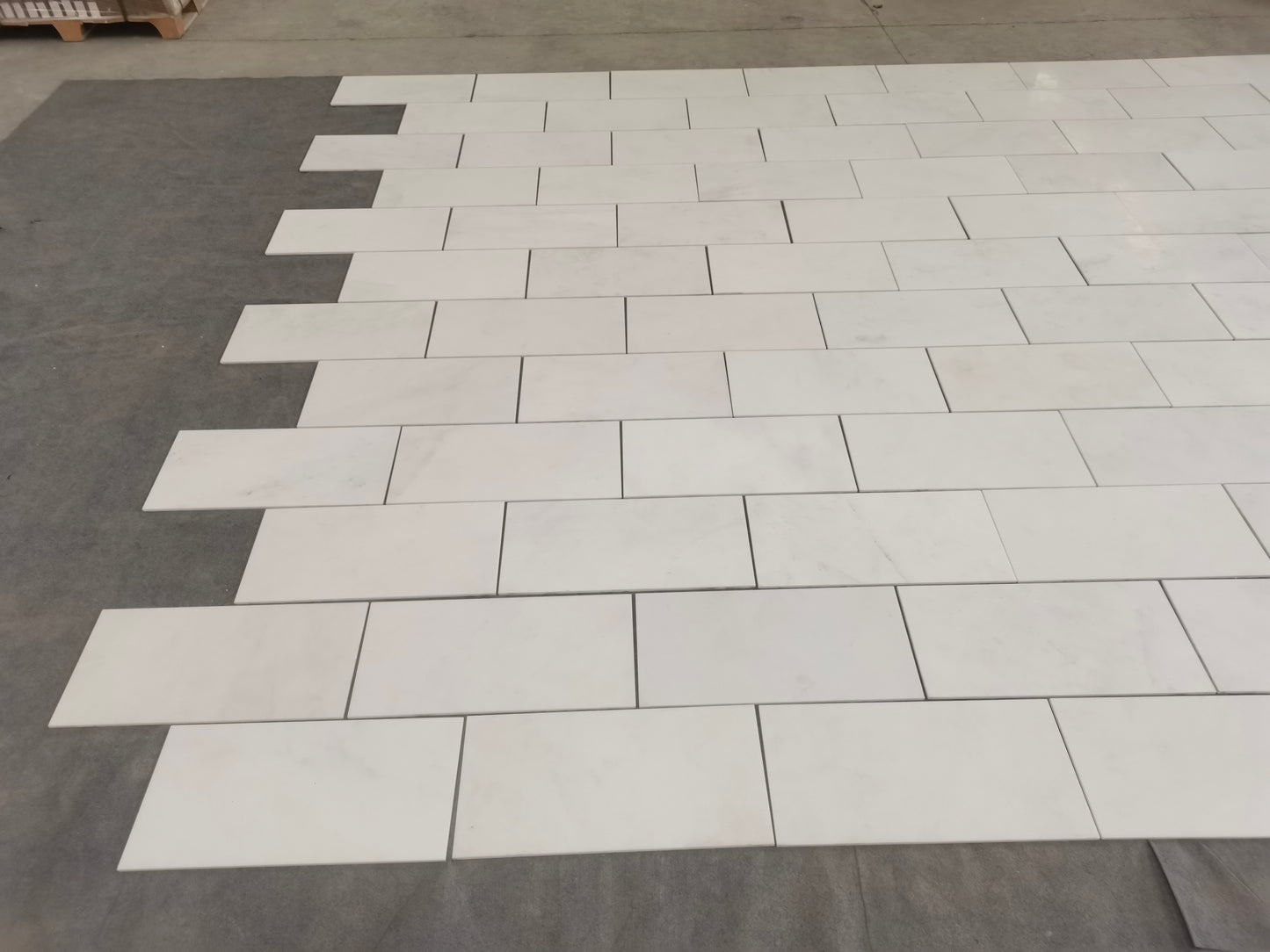 Royal White Honed Wall and Floor Tile  12"x24"