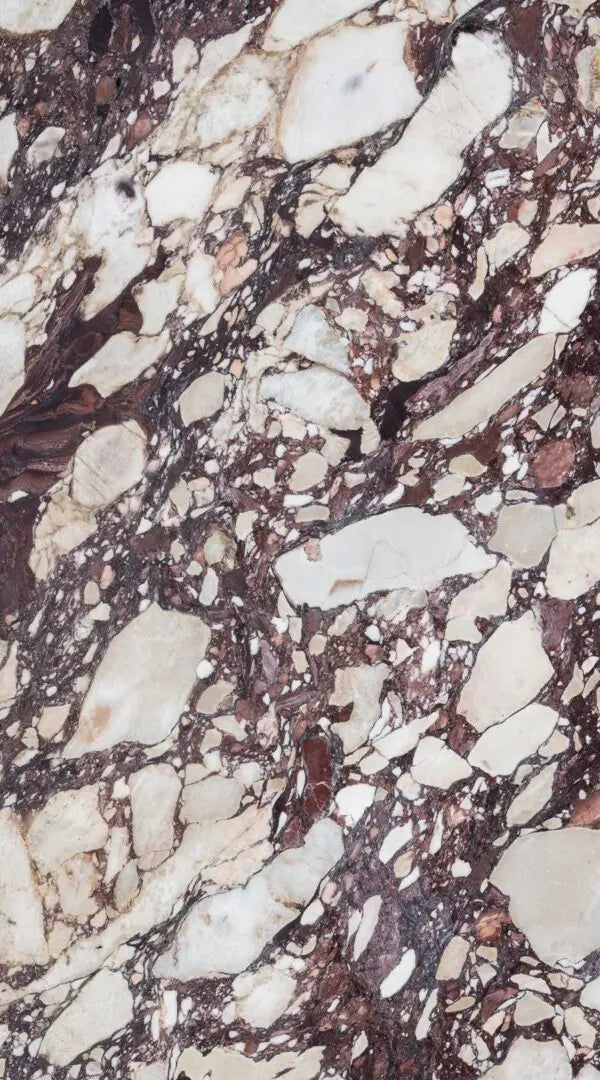 Calacatta Viola Marble Wall and Floor Tile