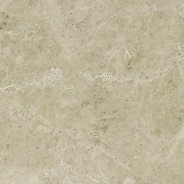 Cappuccino Polished Wall and Floor Tile 18x18"
