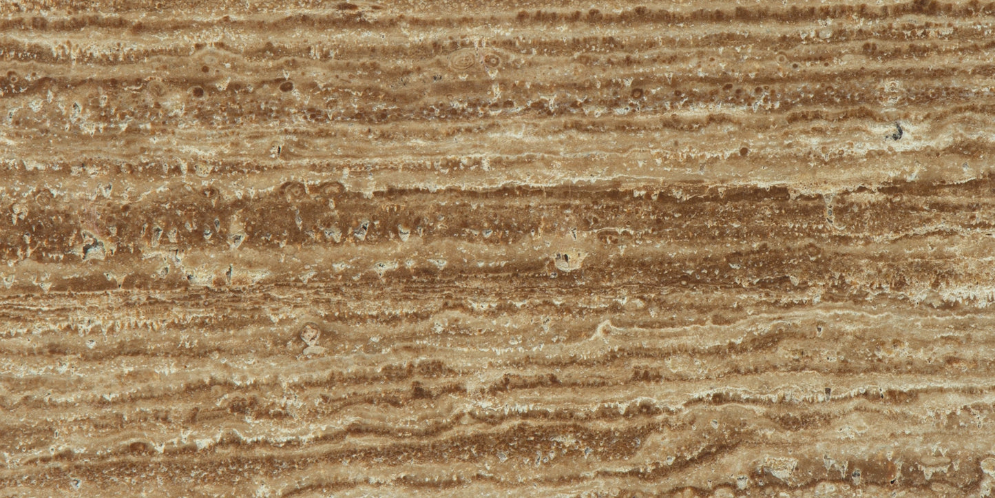 Noce Exotic Travertine Polished Wall and Floor Tile  12x24"