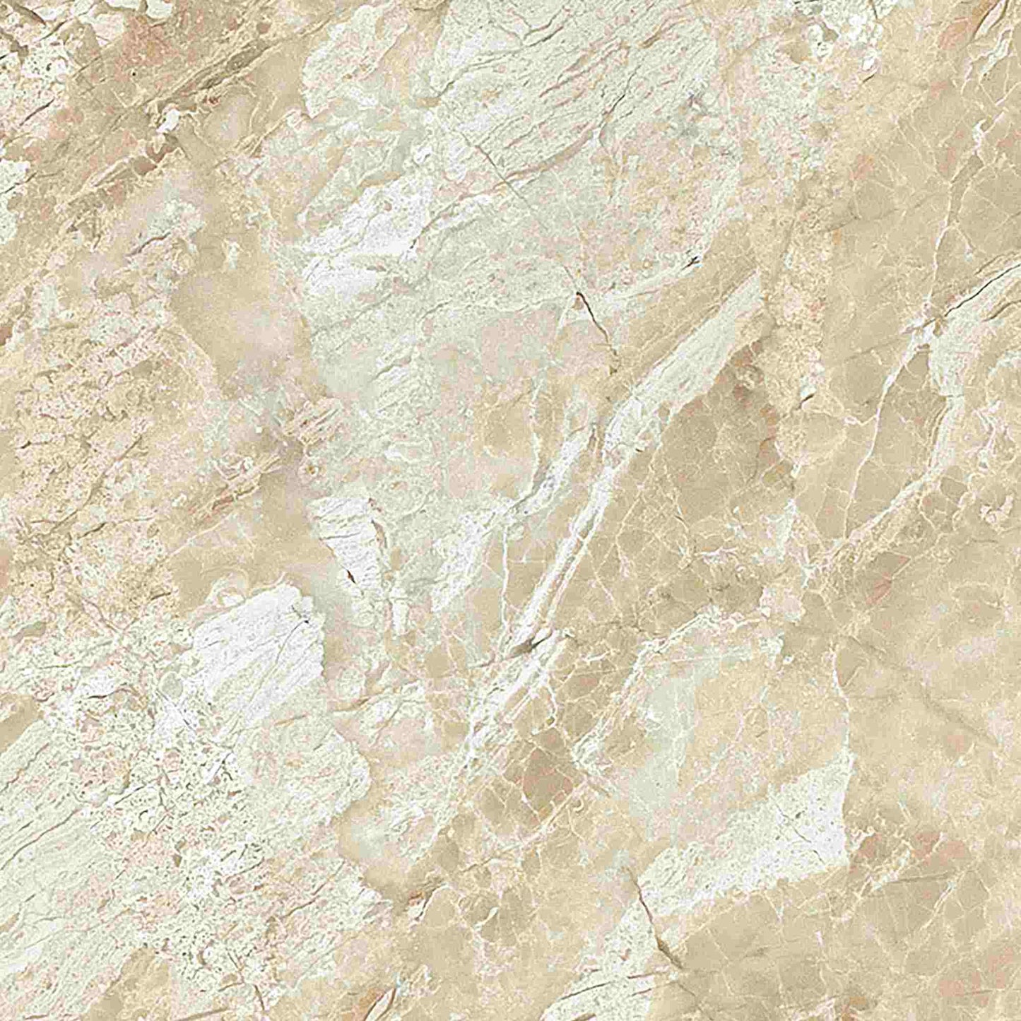 Queen Beige Polished Wall and Floor Tile  24x24"